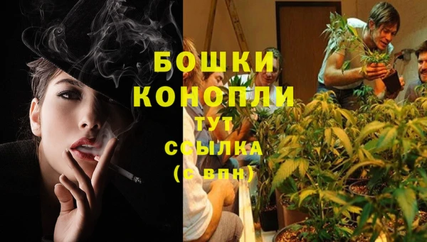 бутират Арсеньев
