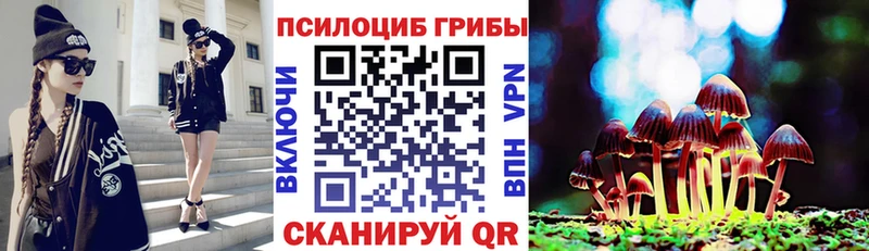 Псилоцибиновые грибы MAGIC MUSHROOMS  Ахтубинск 